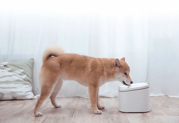 Поилка Xiaomi Smart Pet Fountain