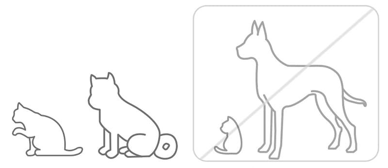 Xiaomi Mi Smart Pet Food Feeder для маленьких собак