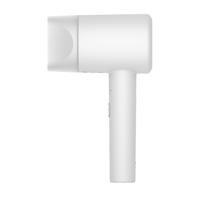 Xiaomi Ionic Hair Dryer H300