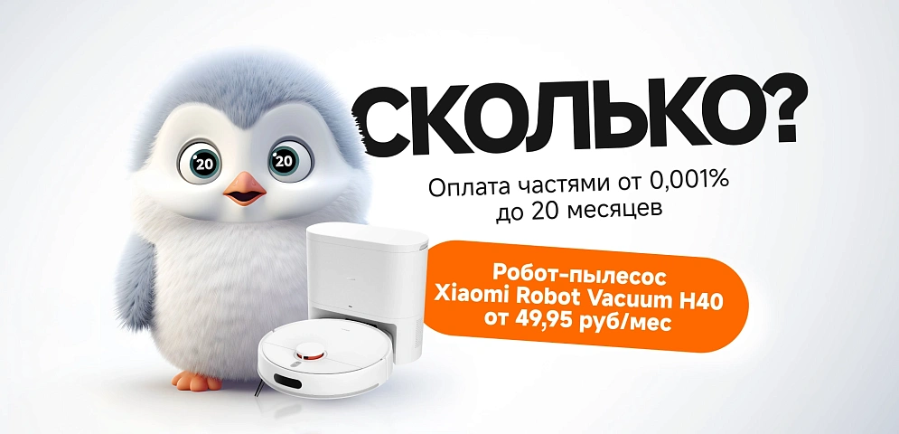 рассрочка 20 мес пылики